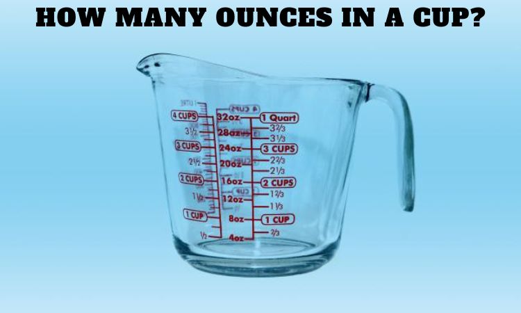 How Many Ounces in A Cup?