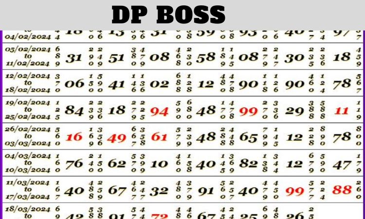 DP Boss