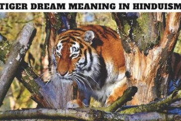 Tiger Dream Meaning in Hinduism