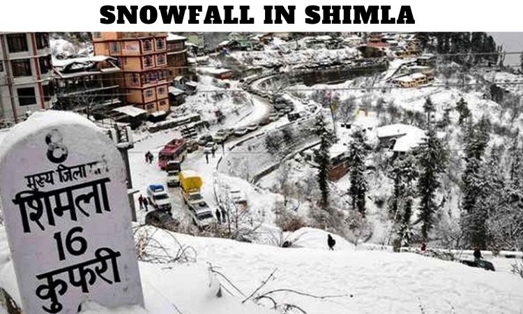 Snowfall in Shimla Himachal Pradesh