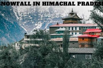 Snowfall In Himachal Pradesh