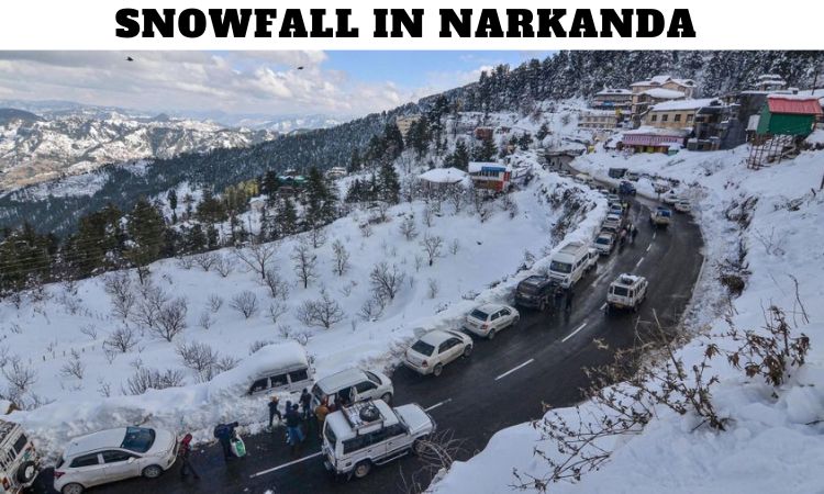 Snowfall in Narkanda Himachal Pradesh