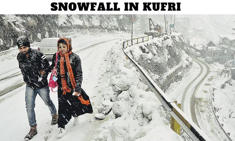 Snowfall in Kufri Himachal Pradesh