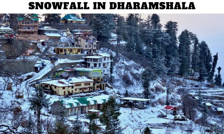 Snowfall in Dharamshala Himachal Pradesh