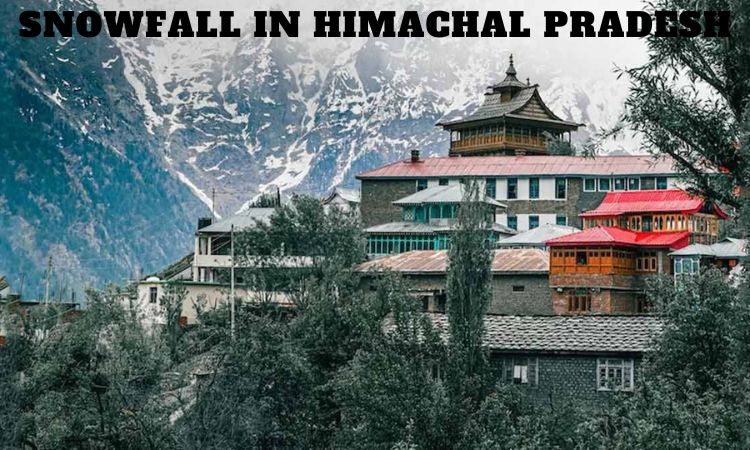 Snowfall In Himachal Pradesh