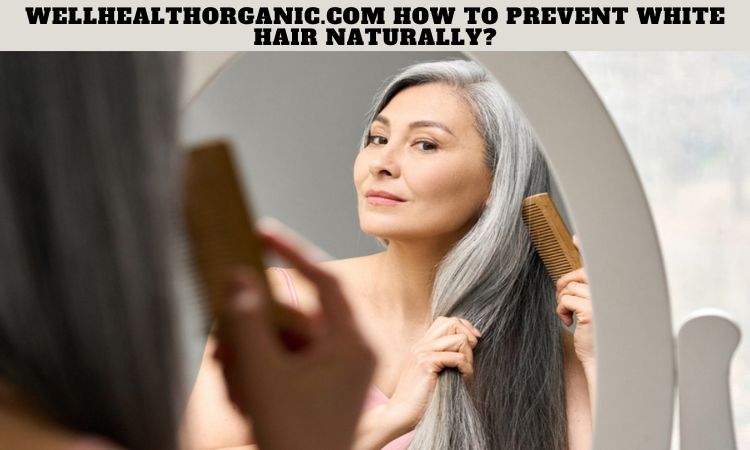 Wellhealthorganic.com How to Prevent White Hair Naturally?