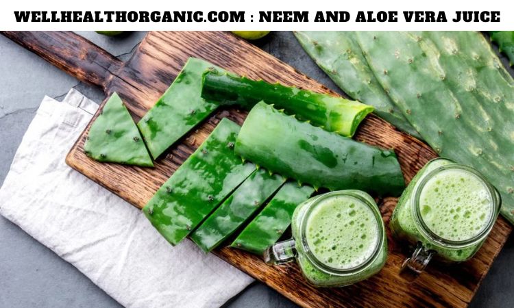 Wellhealthorganic.com : Neem and Aloe Vera Juice