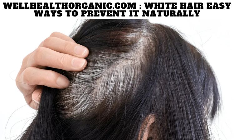 Wellhealthorganic.com : White Hair Easy Ways to Prevent It Naturally