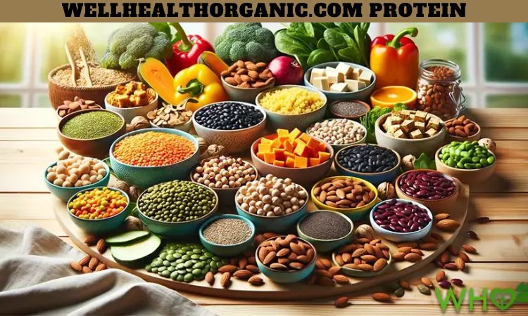 wellhealthorganic.com protein