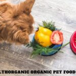 Wellhealthorganic Organic Pet Food Benefits