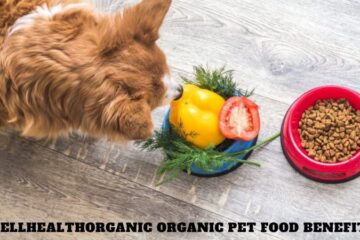 Wellhealthorganic Organic Pet Food Benefits