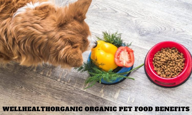 Wellhealthorganic Organic Pet Food Benefits