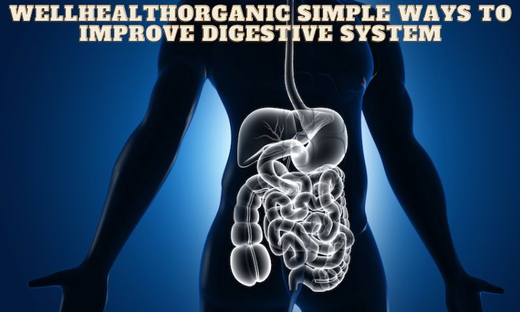 Wellhealthorganic Simple Ways to Improve Digestive System