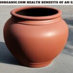 Wellhealthorganic.com Health Benefits of An Earthen Pot