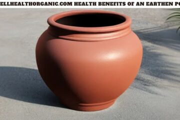 Wellhealthorganic.com Health Benefits of An Earthen Pot