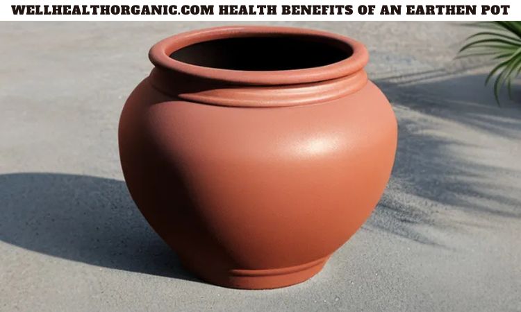 Wellhealthorganic.com Health Benefits of An Earthen Pot