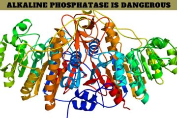 What Level of Alkaline Phosphatase is Dangerous?