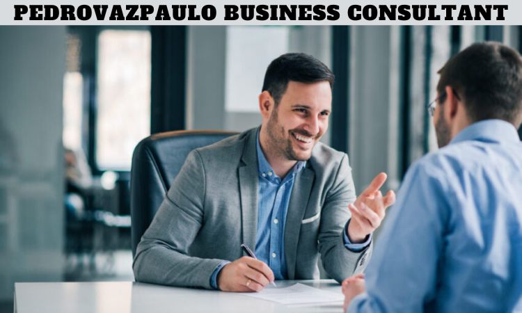 PedroVazPaulo Business Consultant